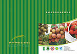 四季鲜绿色食品宣传画册封面与封底