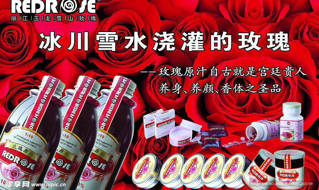 玫瑰