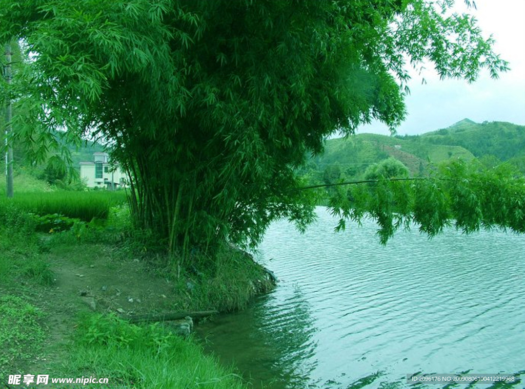 一潭綠水