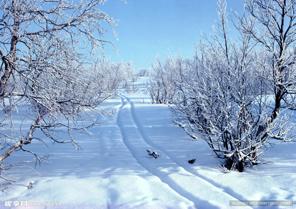 白雪地帶