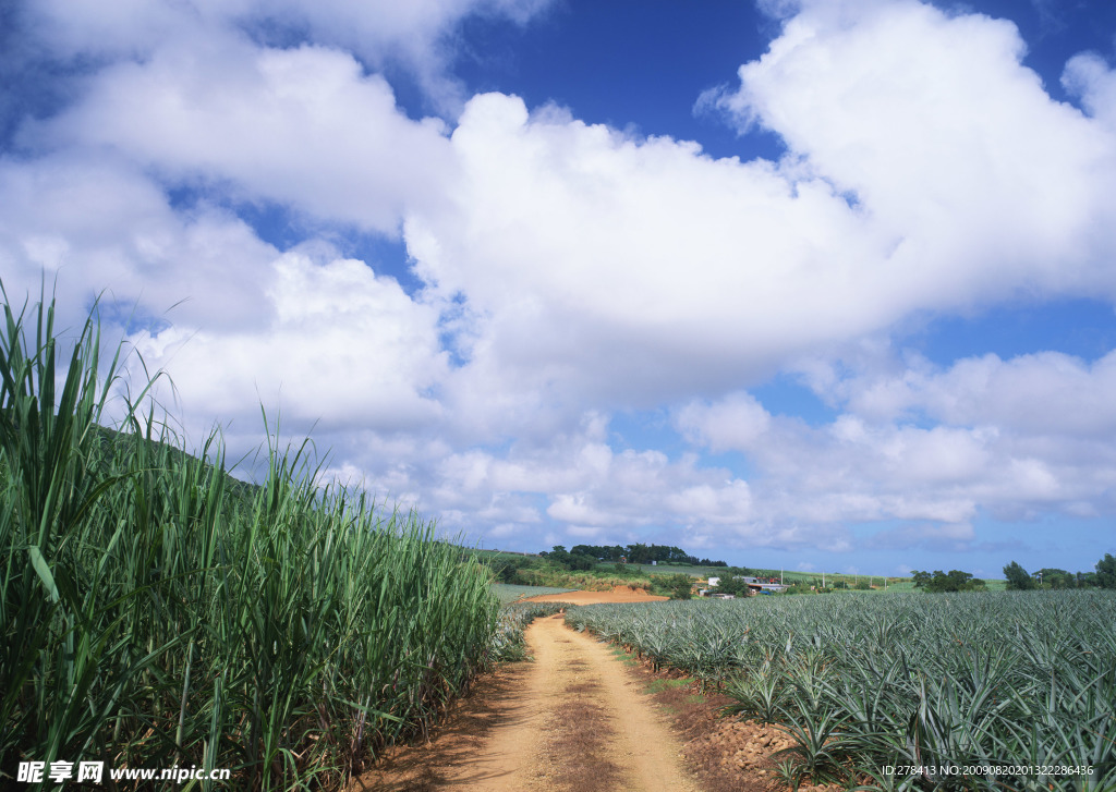 藍天 白云 晴空 美景