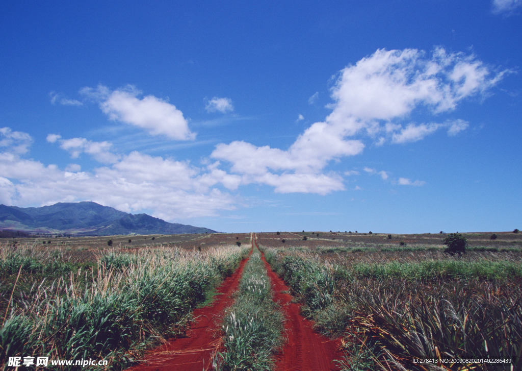 藍(lán)天 白云 晴空 美景