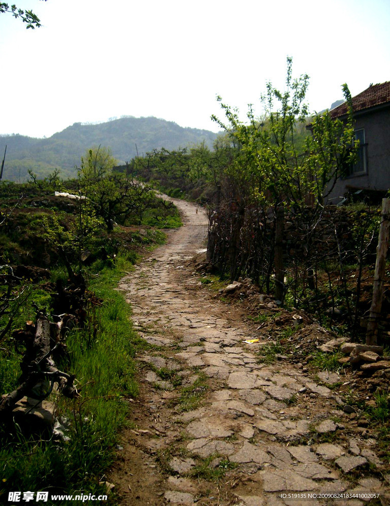 山彎路 草樹 綠色 山頭