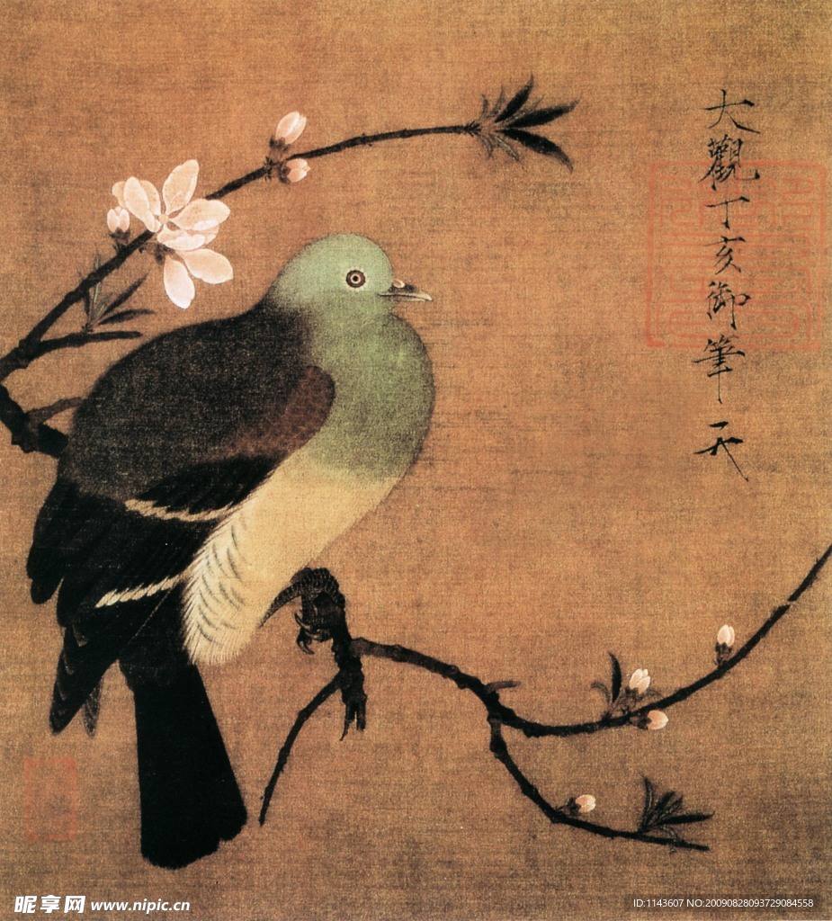 杜娟在樹桿上