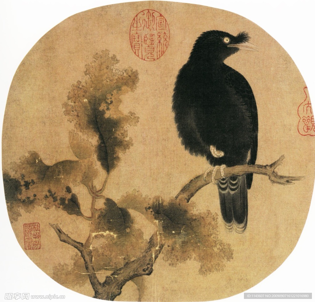 枝頭鳥兒