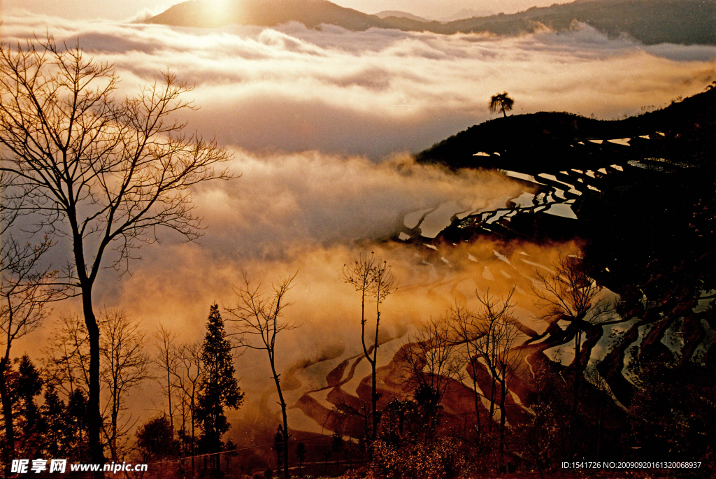 高山日出