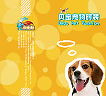 宠物产品宣传折页