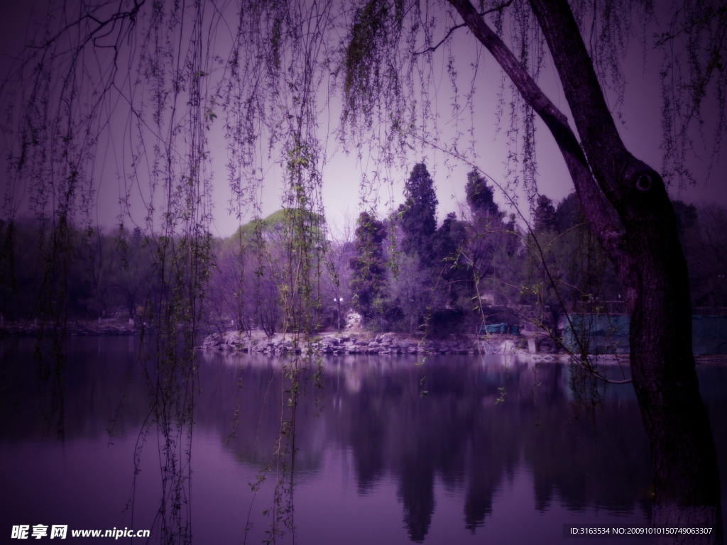 美麗風景1