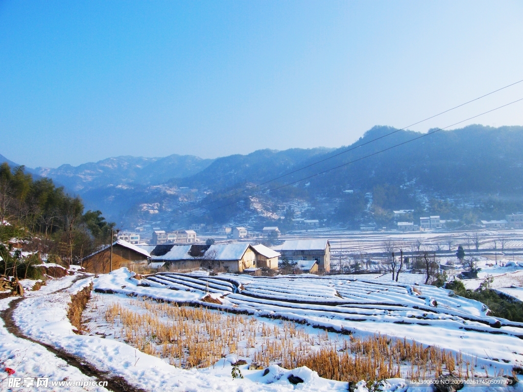 鄉村雪景