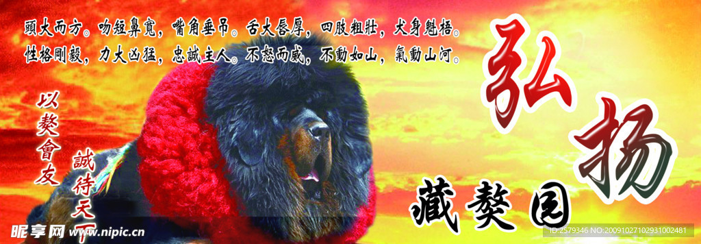 藏獒