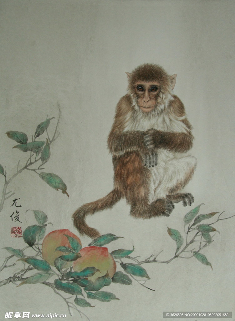 李尤俊的工笔生肖画 猴