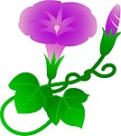 喇叭花