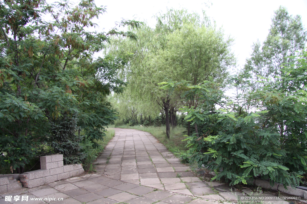 豐電游樂園