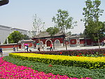 花團錦簇