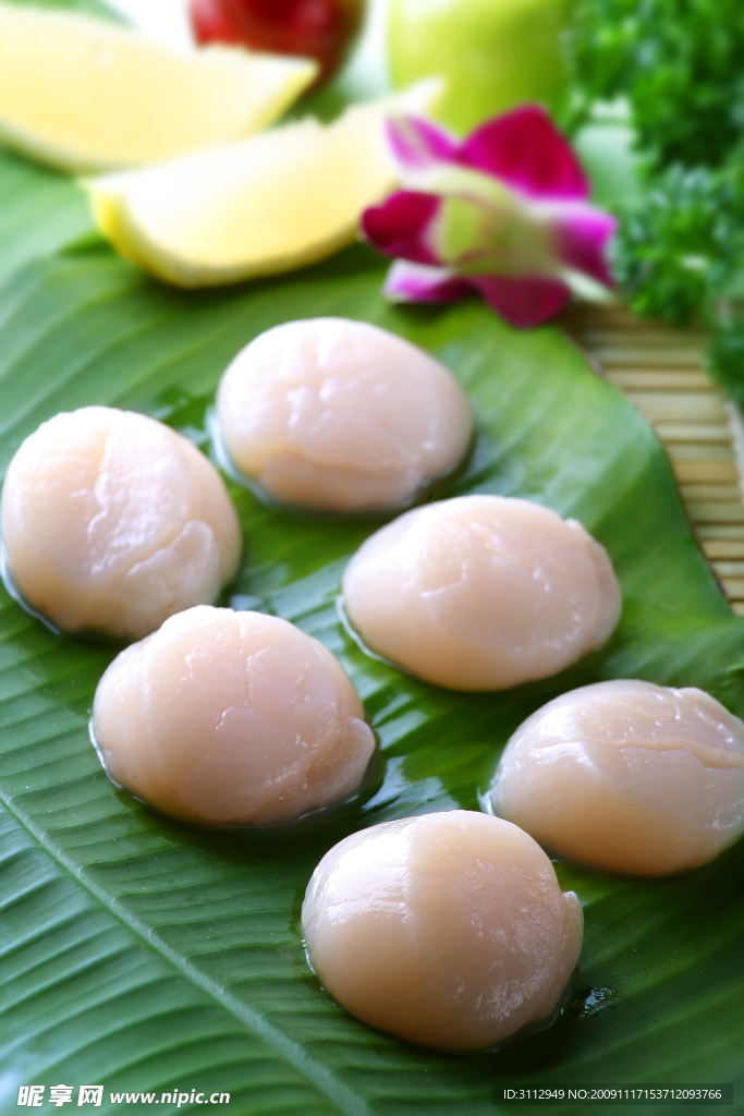 帶子