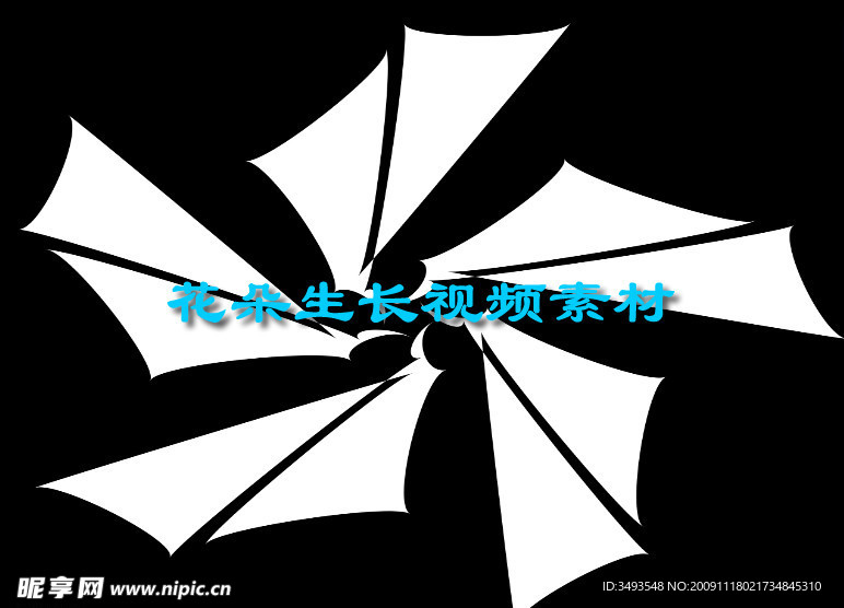 刀型花朵生長MOV通道視頻素材