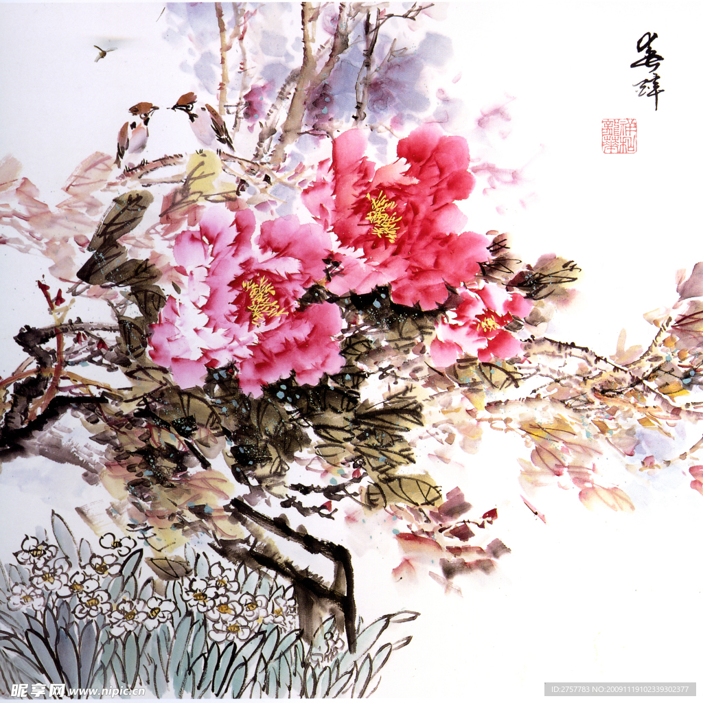 牡丹