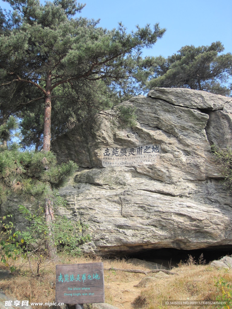 青山