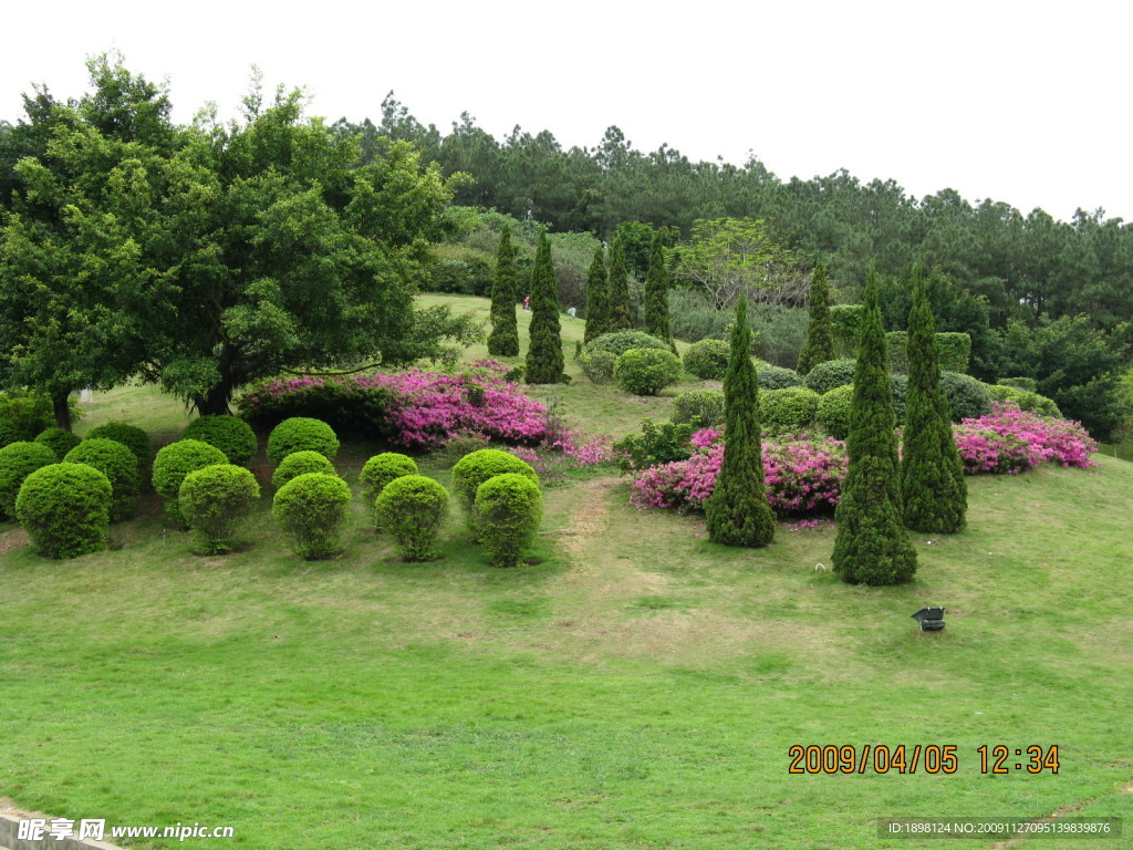 花 花壇 花草 自然 風光 風景