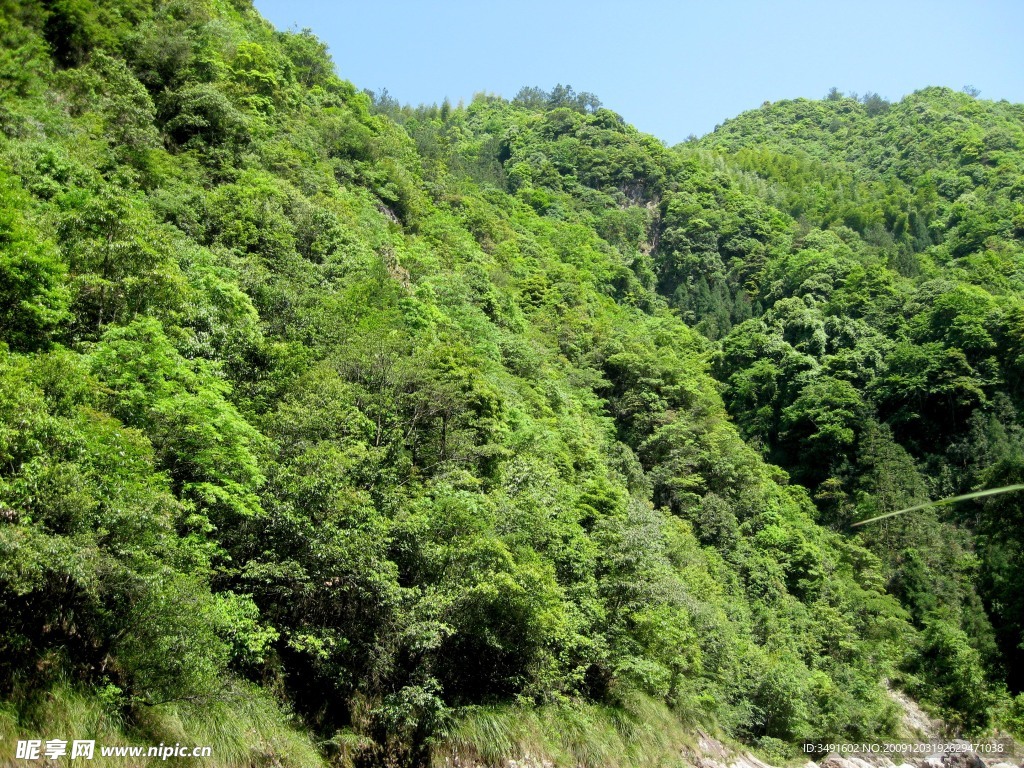 山 風景