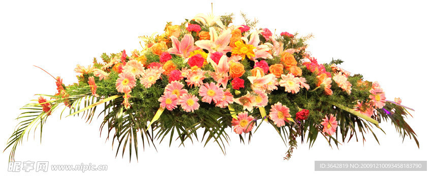前臺(tái)盆花