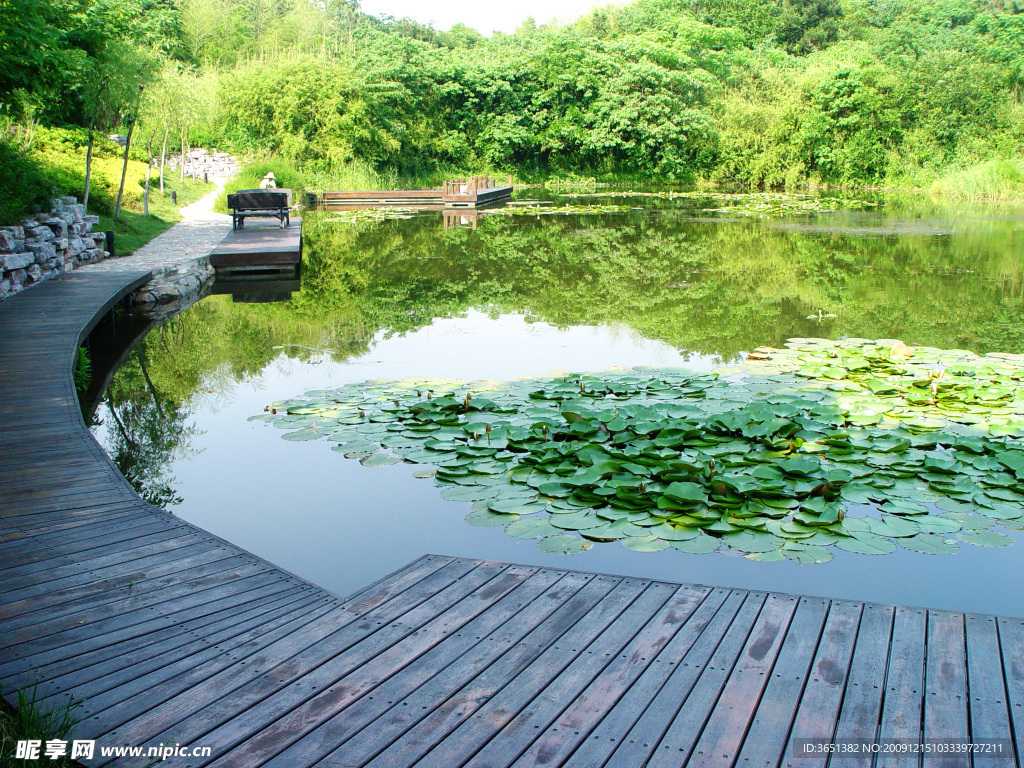 公園 景觀 山水 風景