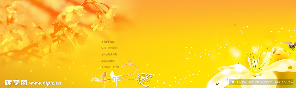 婚紗背景