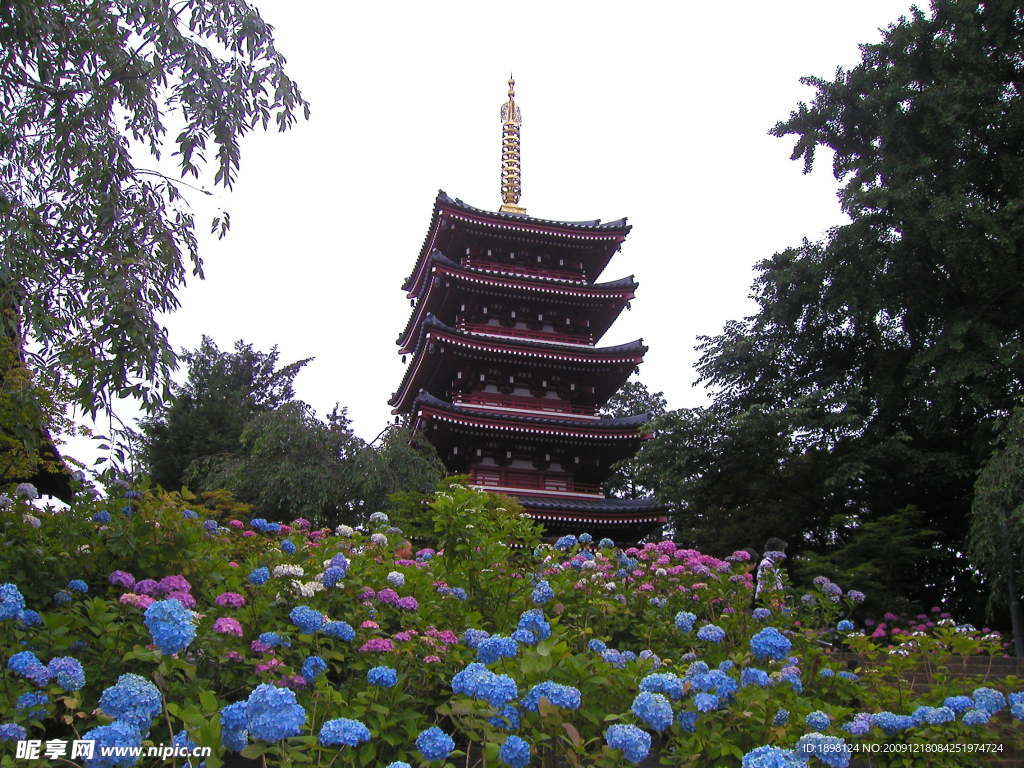 日本櫻花 自然風(fēng)景 花草 塔