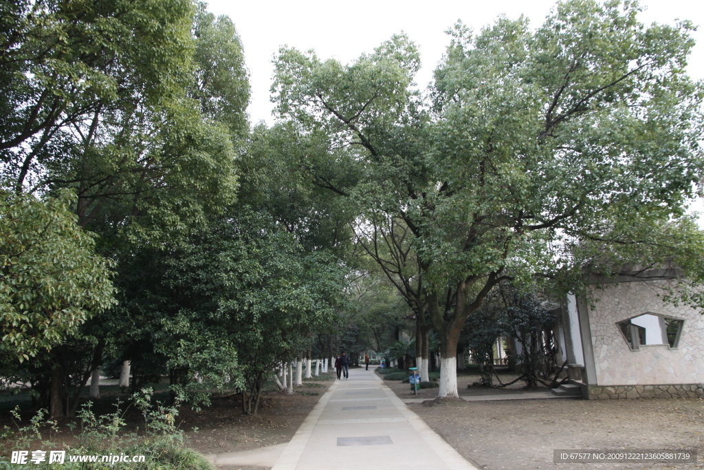 自拍的高清公園小徑風景