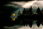 丛林之美 风光如画 森林 树林 树木 湖泊 湖水 河流 阳光 云层 彩云