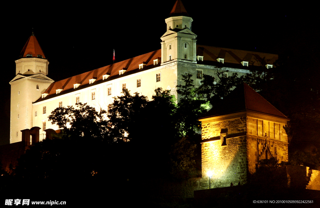 古堡 城堡 别墅 灯光 树木