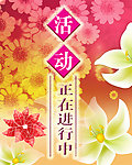 海报背景 展板背景 活动 海报 菊花 花底 枫叶 红叶 喜庆花 节日素材