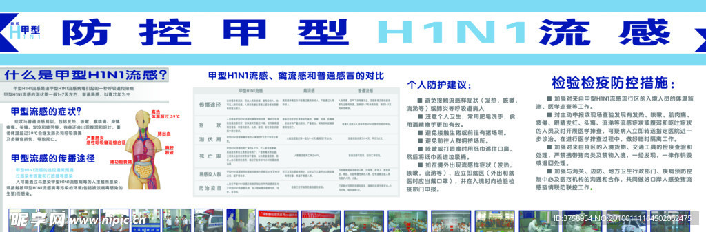甲型H1N1板报