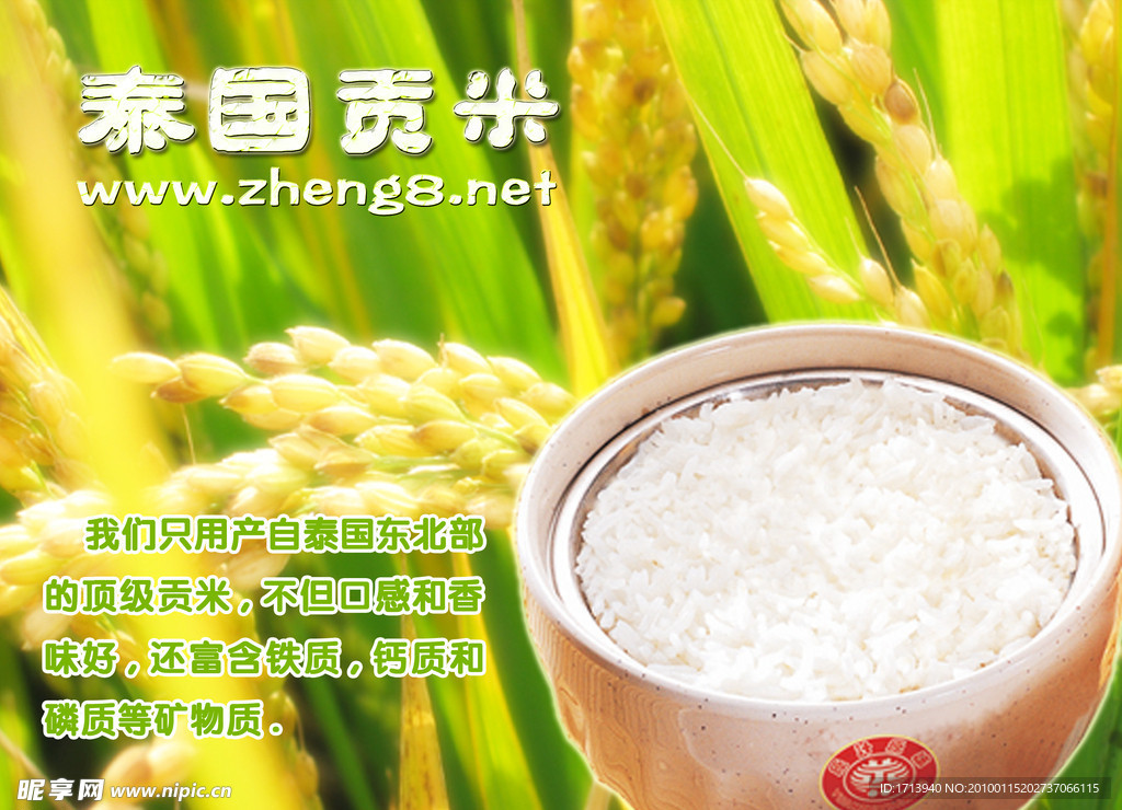 泰國貢米