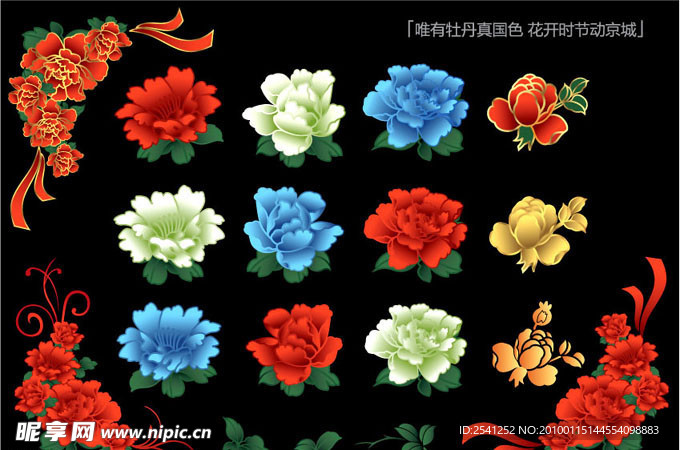 牡丹