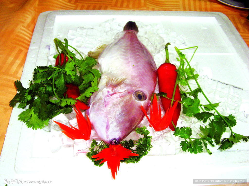 大竹仔魚