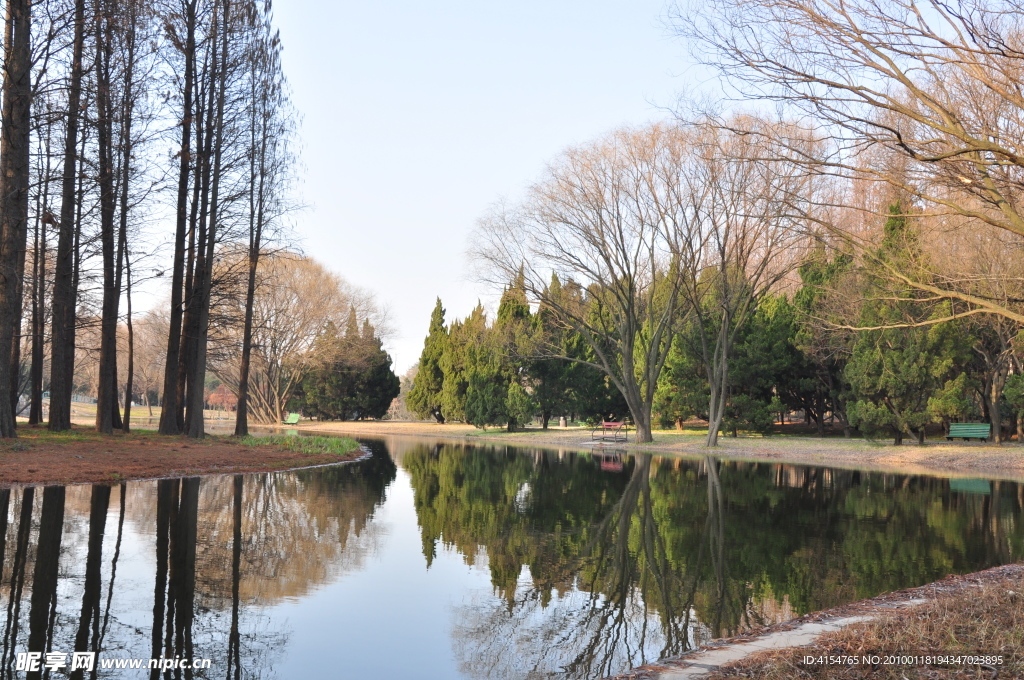 森林公園1