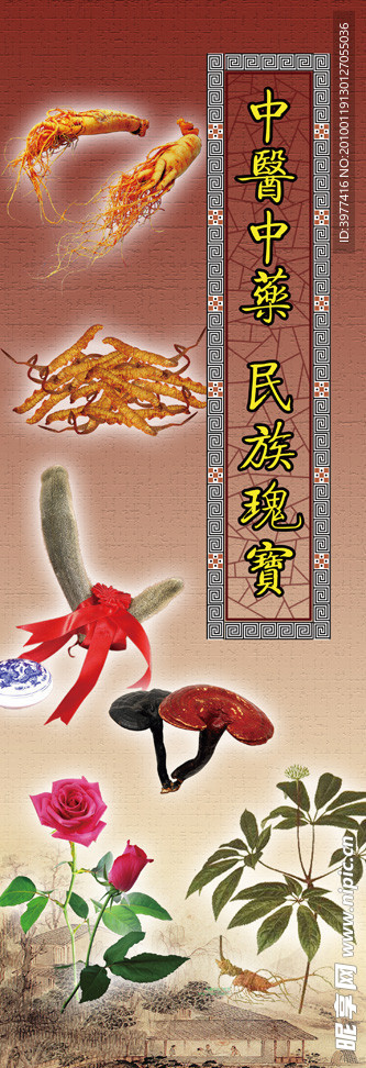 中醫中藥名族瑰寶