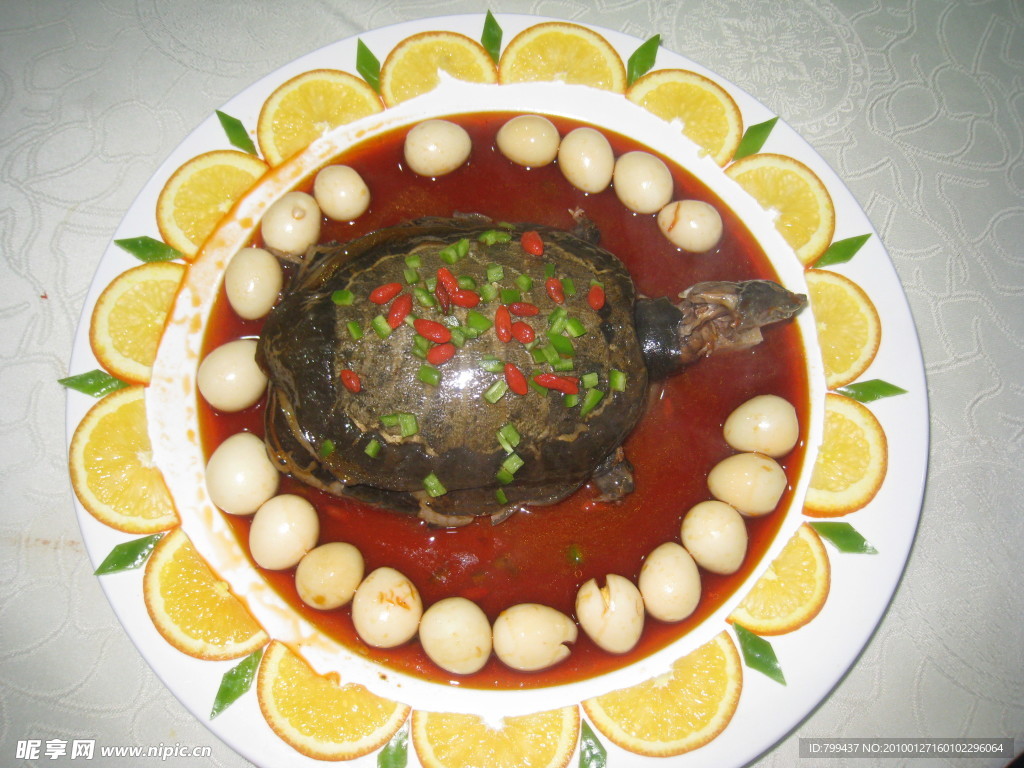 甲魚雹蛋