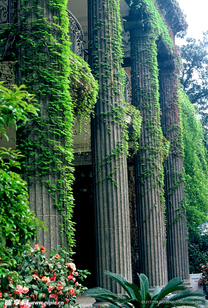 公園花草