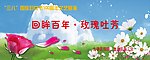 三八婦女節背景