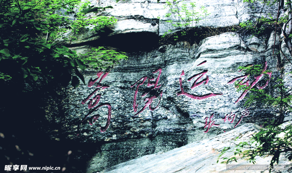 嵩陽(yáng)運(yùn)動(dòng)