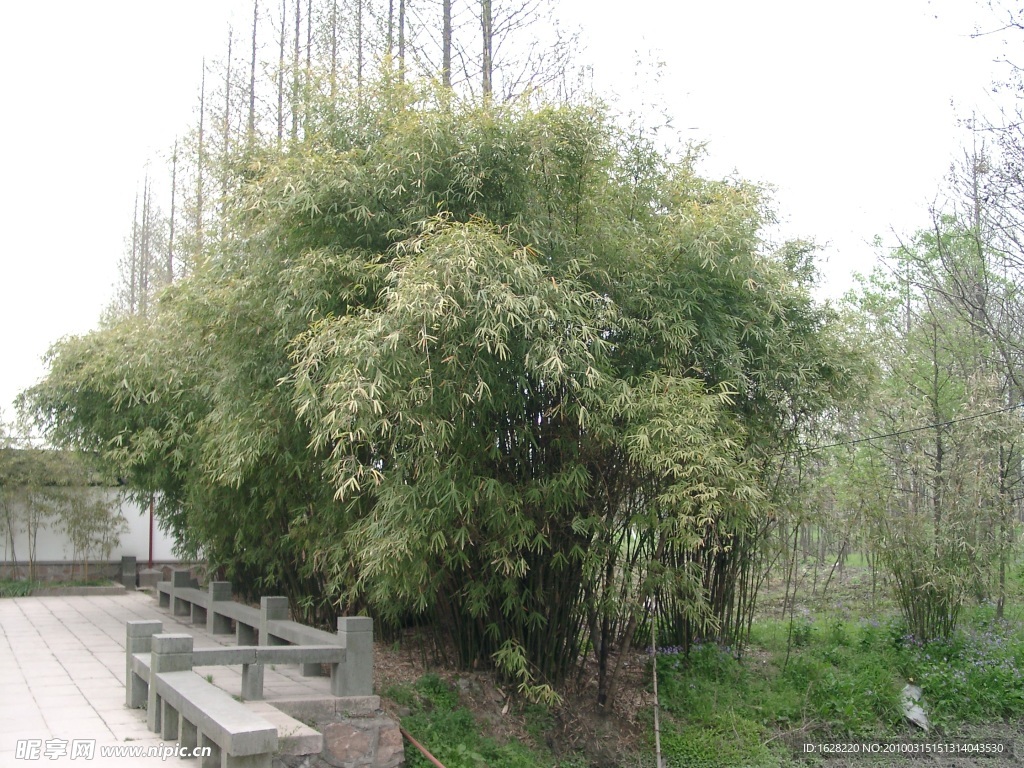 自然風景攝影照片