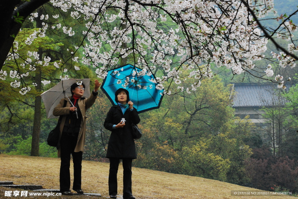 公園景象