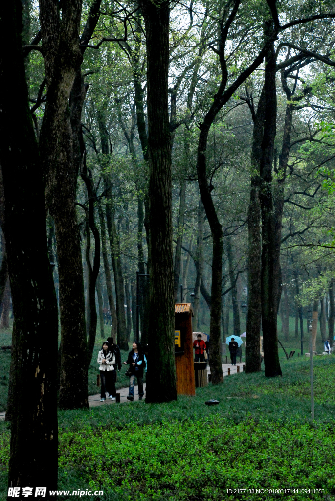 公園景色