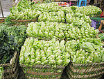 蔬菜批发市场照片
