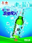 青岛 纯生 啤酒 广告 PSD