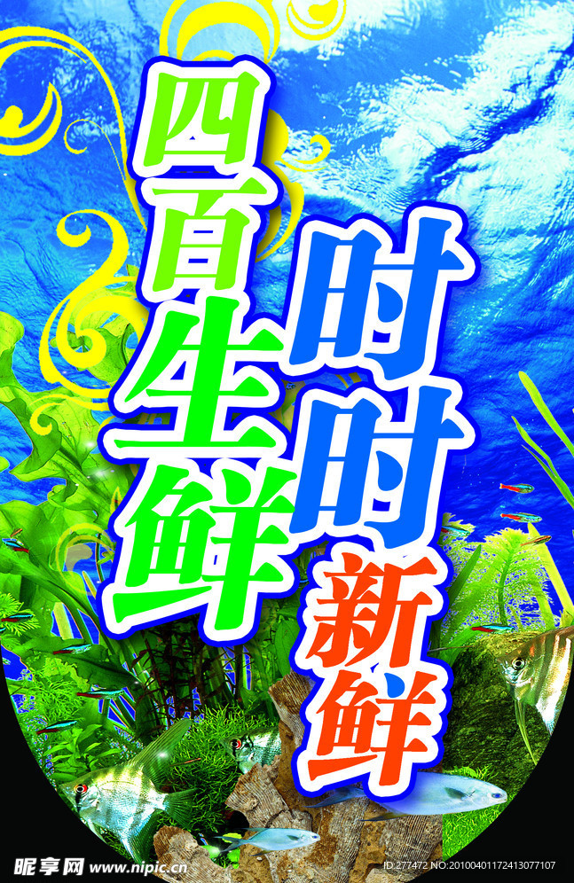 生鮮 海底 魚 海藻 海水