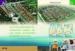 山東 威海 銀灘 地產 宣傳冊4