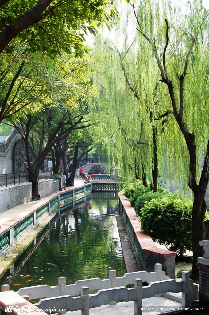 公園景色